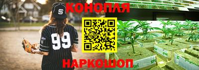 дурь Берёзовский