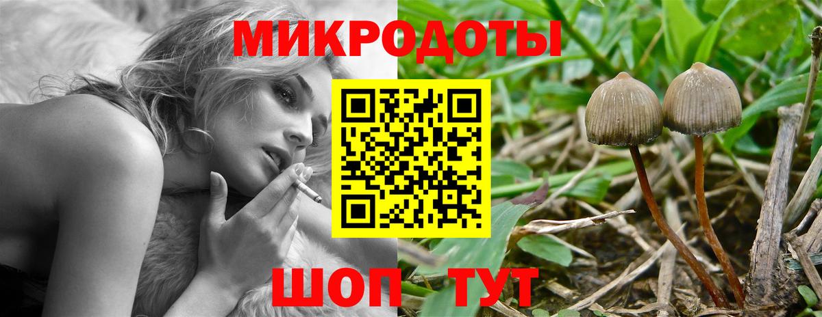 Псилоцибиновые грибы Psilocybine cubensis  Вход с VPN  Губкин  Галлюциногенные грибы Psilocybine cubensis 